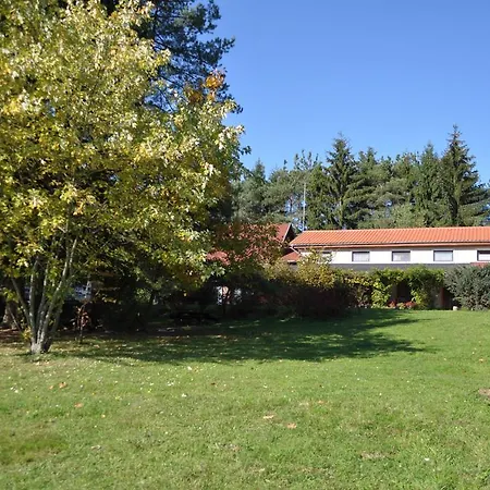 Orsegi Patakparti Alpaka Panzio