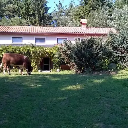 Orsegi Patakparti Alpaka Panzio Bed & Breakfast *