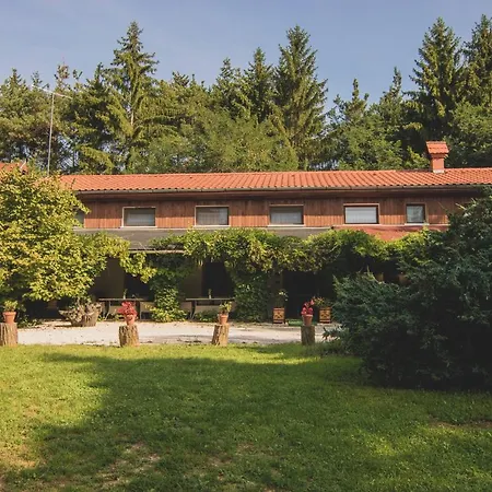 Panzió Orsegi Patakparti Alpaka Panzio *