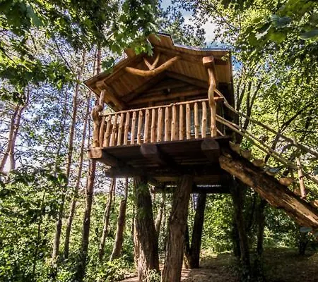 Orsegi Patakparti Alpaka Panzio *